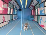 地鐵車廂內
20260226_142445