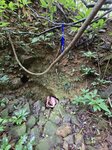 去了一洞位, 原來叫天坑井洞
20260303_110757