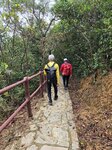 接回沙田郊野徑續落山

20260303_133952
