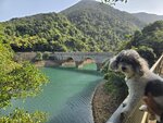 回望英式橋
20260307_000013