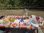 3號燒烤場內開餐
20260307_000019