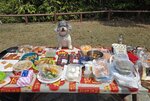食物豐富, 有旦, 鵪鶉腿, 藍莓給主子們, 奴才們有鱔, 蝦肉腸, 燒肉, 紅腸, 醉鮑魚, 雞翼, 牛扒, 三色椒, 三文魚, 豬耳, 手揶雞, 貢菜和柑
 20260307_000021