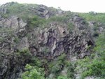 DSC01442