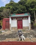 馬灣1868天后廟建於1857年被列為三級歷史建築20260309_102308~38
