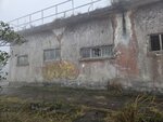 抵廢軍營
20260310_105528