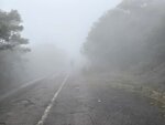 接大帽山道上斜, 名符其實"大霧"山
20260310_111358