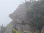 路旁大石似野豬嗎?
20260310_112438