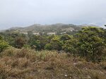 Z形的大帽山道
20260310_113758