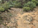 轉走山路
20260310_115401