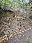 回望剛才落山路口20260310_120905(0)