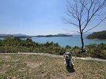涼亭右望見滘西一角(左)和鹽田梓(中)20260312_000013