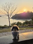 營地海景涼亭觀黃昏日落
20260312_000019