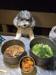 妹釘食完到我哋食, 竹枝羊腩, 蠔油飽魚仔和唐生菜
20260312_000030