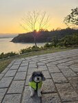 是日黃昏
20260312_000056