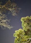 是晚獵戶星
20260312_000061