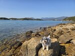 醫療輔助隊斬竹灣訓練中心海邊望海中鹽田梓和遠處的飛鵝山(左)和大老山(右)發射站20260312_000069