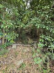 巴士站沿西沙路往烏溪沙方向走少少便轉左入林, 路口見水管
20260317_090546