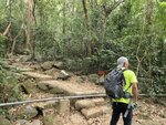 轉走麥理浩徑4段上山

20260317_102502