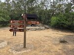 接馬鞍山郊遊徑分岔位
20260317_120555