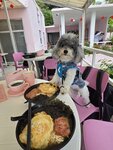 只有一主食, 紫菜午餐肉旦出前一丁20260321_114851~2