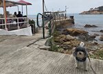 蒲台島碼頭
20260321_120900