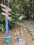 往僧人石, 佛手岩等方向的路就在士多旁
20260321_121308