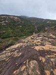 左望見有條坑上鶴咀山, 我地續往前去20260324_104832