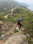 石級頂要上坡板, 我哋則往左邊上一段石級後轉右走山路上山

20260324_111821