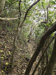 落接山腰棧道左走

20260324_115244