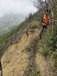 好彩有樹可扶住過
20260324_115809