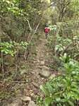 走砵甸乍山腰路

20260324_144551