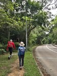 11號巴士至直升機場站起步, 沿嶼南道前行少少便左上護土牆石級
20260428_094041