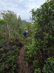 過山火瞭望台續山路前行

20260428_100012