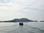 前望橋咀島
20260512_092621