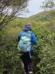 續往白虎山進發, 路兩旁多崗松

20260512_122802