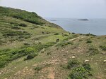 
上白虎山前空地, 曾見有人露營. 海中是黃泥洲

20260512_123900