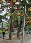 生態園內
20260519_093711