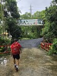 入禪文化公園
20260519_094237