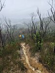終於落山,前見大欖涌水塘千島湖

20260519_111632