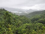 麥徑10段中遙望大欖涌水塘千島湖
20260519_112525