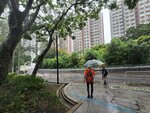 穿遊樂場出華樂街左落斜

20260519_133558