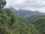 路中右望大蚊山, 蚺蛇尖和東灣山(左至右)
20260526_093300