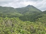 左望見鹿湖郊遊徑山路(右)和相中間雙鹿石澗一瀑, 好似係井底瀑

20260526_093953
