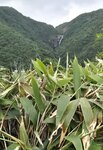 山路中左望見雙鹿石澗中井底瀑

20260526_105449