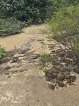 入左邊山路到此泥地位續前去

20260526_121034