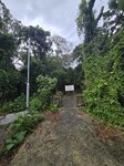 路盡處續走往檳榔灣沙灘小徑

20260609_100637