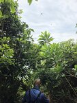 頭頂好大隻蜘蛛

20260609_104036