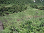 從左邊林谷中的荒澗上溯至此離澗
P6057393