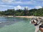 水大漲沙灘都細了
20260619_134058