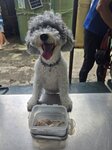 妹釘私房鵪鶉腿
20260619_135334